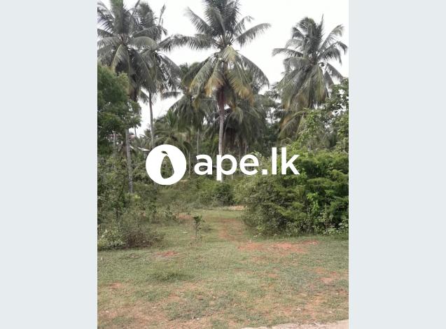 Land for sale weerakatiya